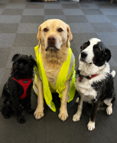 ernie-oscar-harry