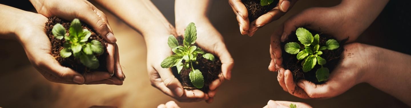 sustainability-and-ethics